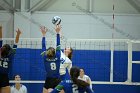 VB vs Salve  Wheaton Women’s Volleyball vs Salve Regina University. : volleyball